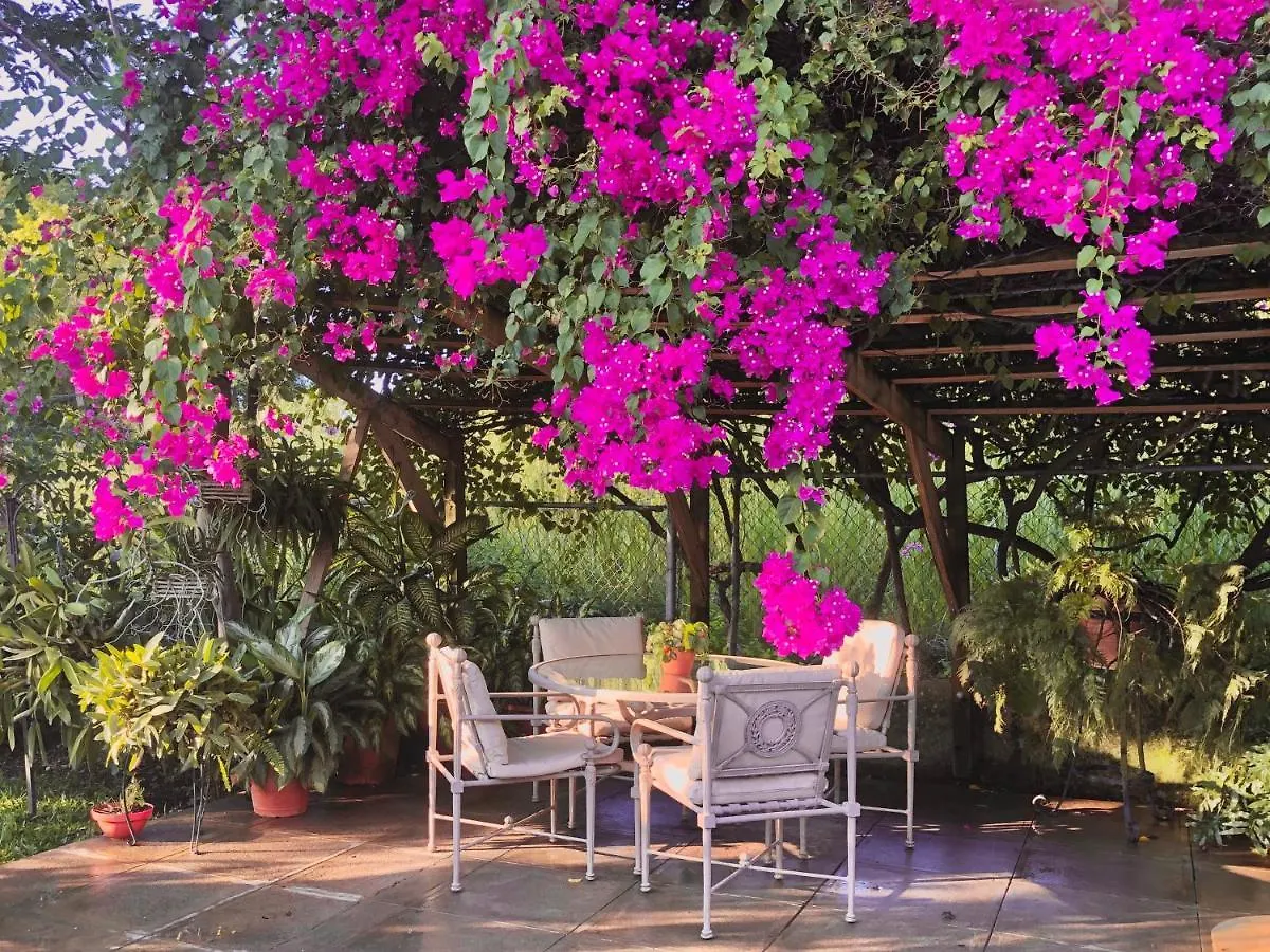 The Blue House Boutique Bed & Breakfast Bed & Breakfast Ocho Rios 5*,  Jamaica