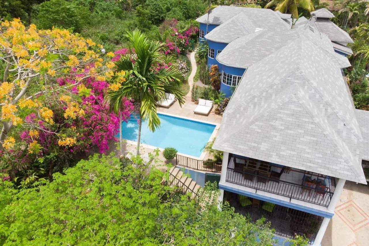 *****  The Blue House Boutique Bed & Breakfast Bed & Breakfast Ocho Rios Jamaica