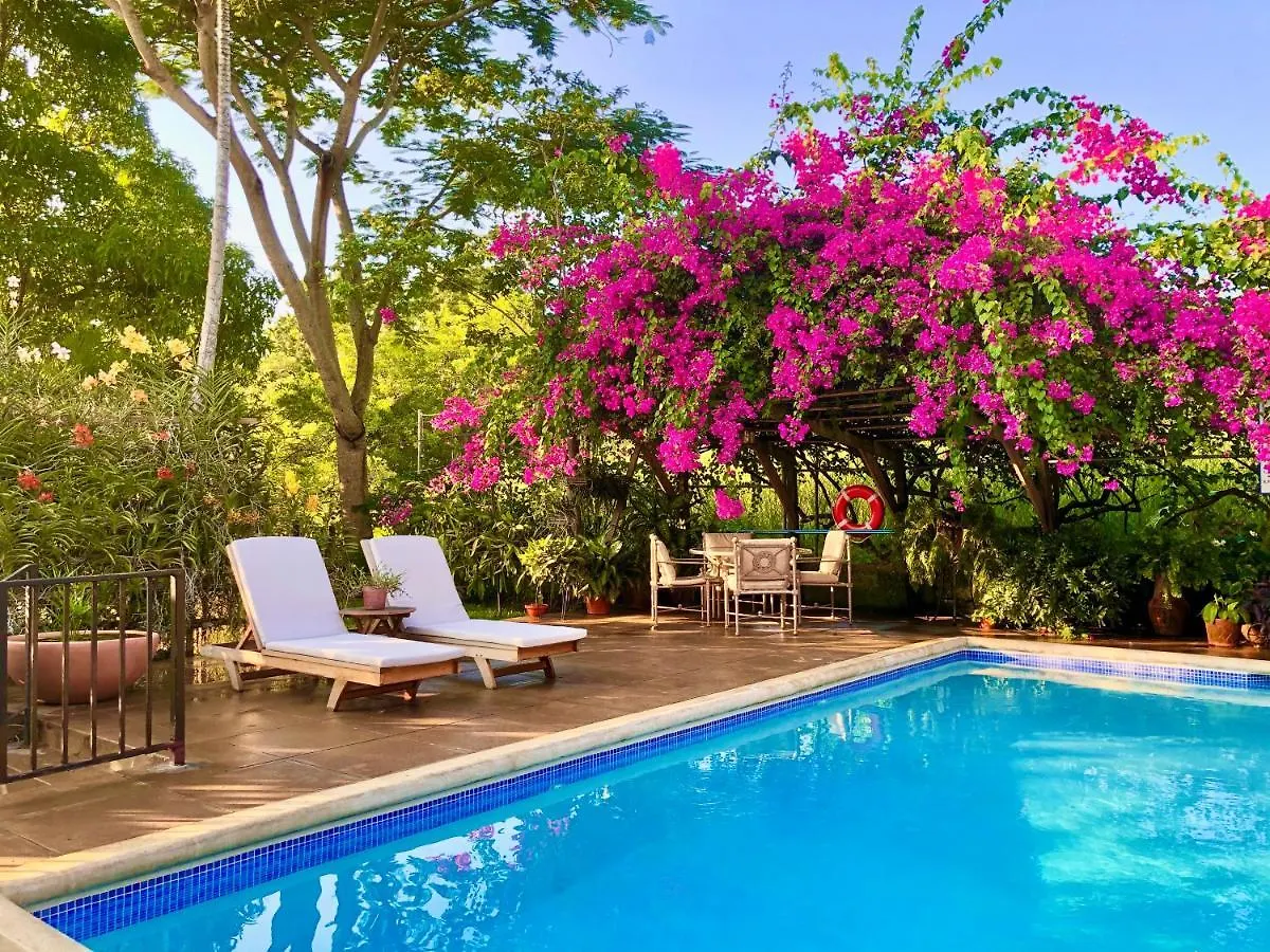 Bed and Breakfast The Blue House Boutique Bed & Breakfast Ocho Rios 5*,