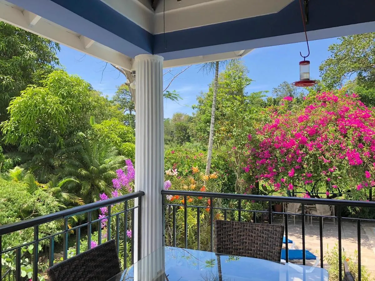 *****  The Blue House Boutique Bed & Breakfast Bed & Breakfast Ocho Rios Jamaica