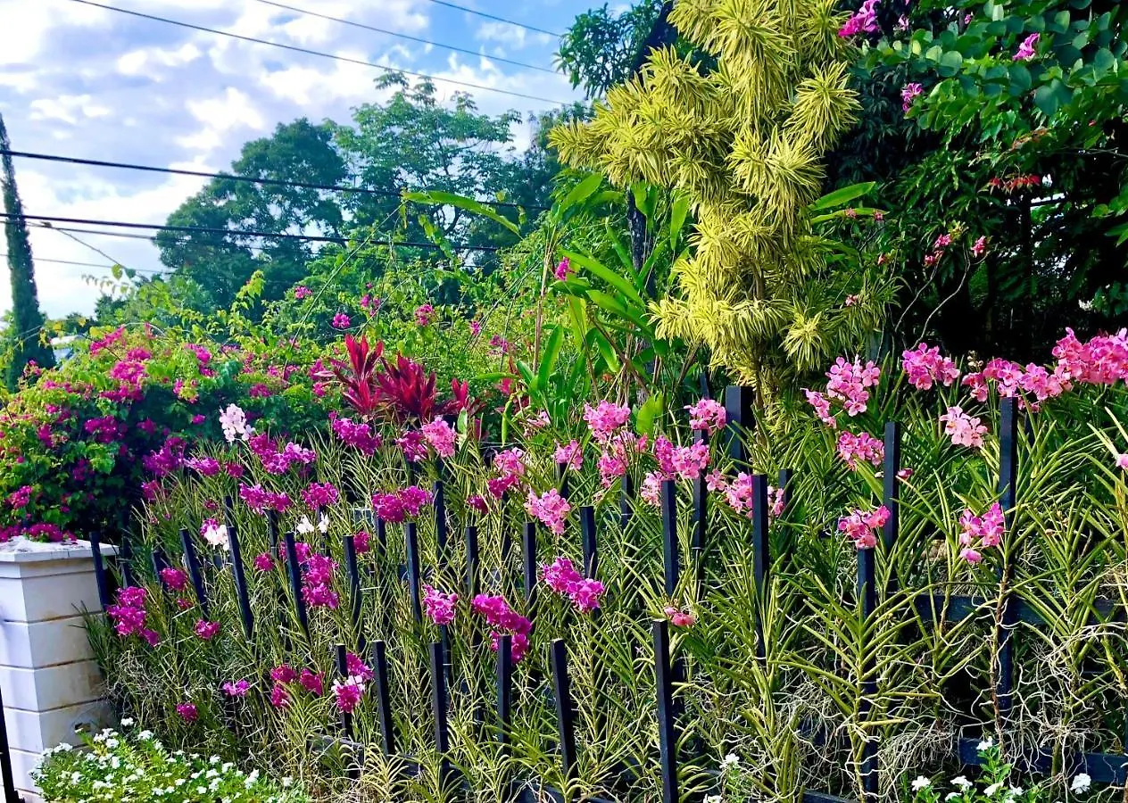 The Blue House Boutique Bed & Breakfast Bed & Breakfast Ocho Rios