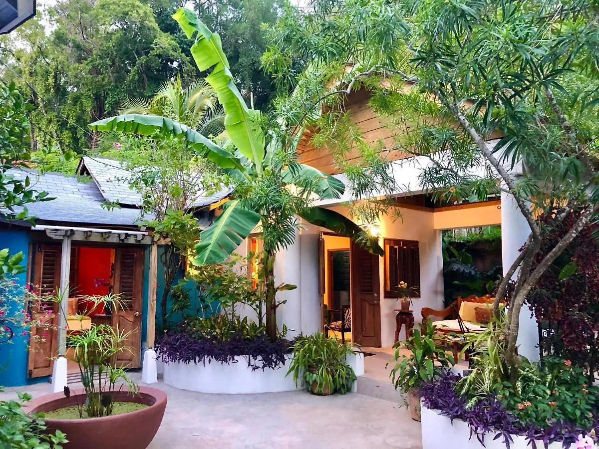 The Blue House Boutique Bed & Breakfast Bed & Breakfast Ocho Rios