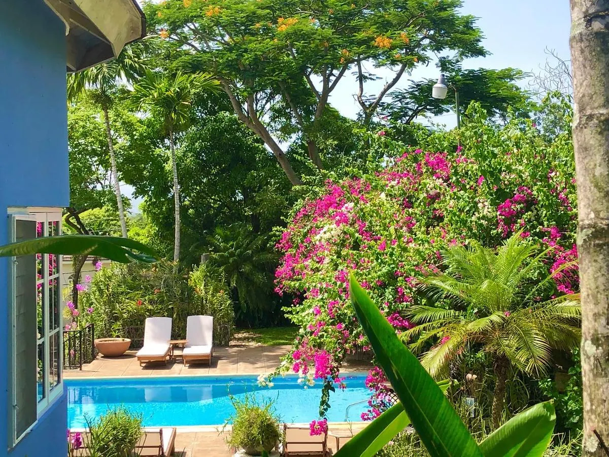 The Blue House Boutique Bed & Breakfast Bed & Breakfast Ocho Rios 5*,
