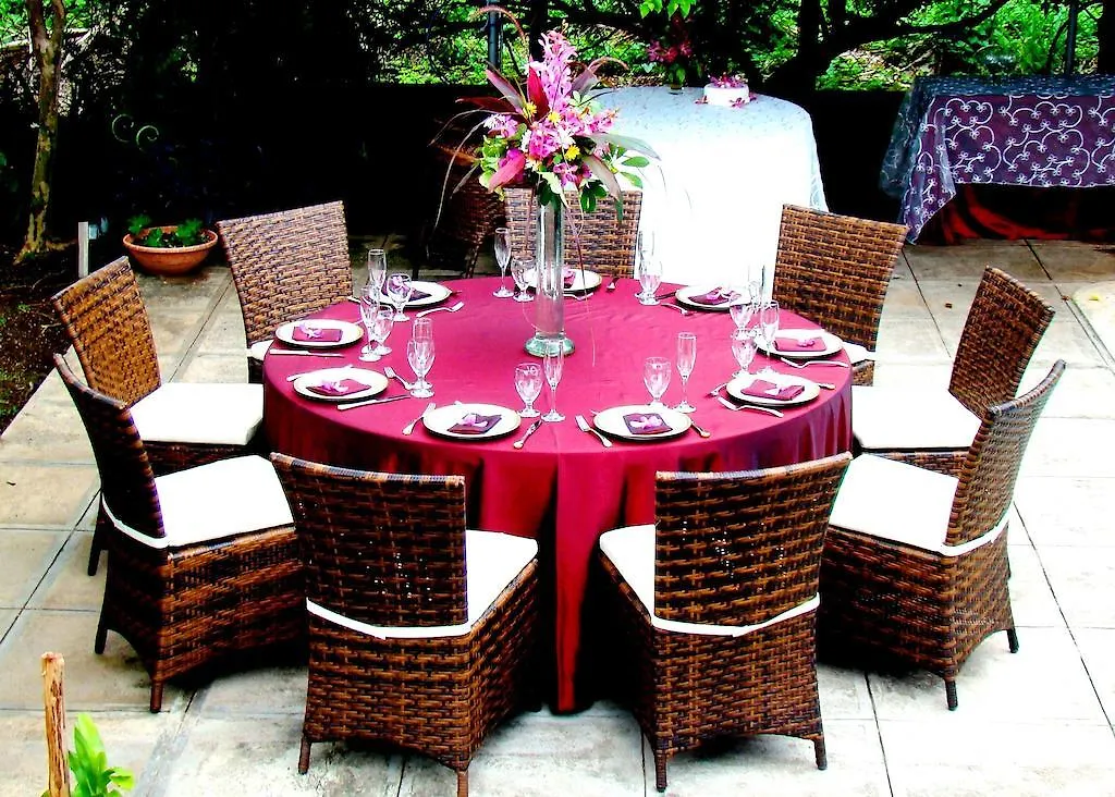 The Blue House Boutique Bed & Breakfast Bed & Breakfast Ocho Rios