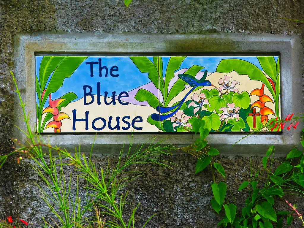 The Blue House Boutique Bed & Breakfast Bed & Breakfast Ocho Rios