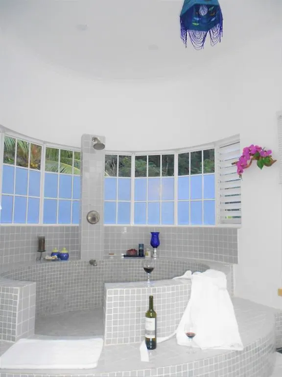 The Blue House Boutique Bed & Breakfast Bed & Breakfast Ocho Rios Jamaica