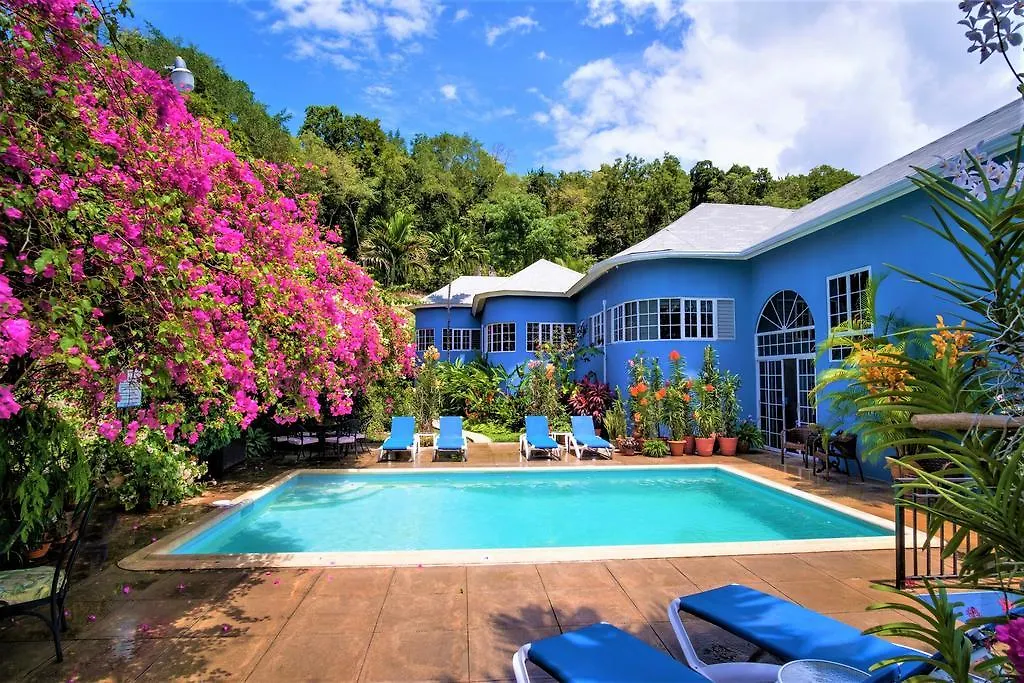 The Blue House Boutique Bed & Breakfast Bed & Breakfast Ocho Rios